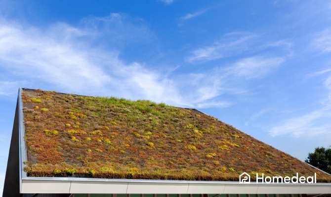 Groendak op een dak van een woning in Nederland